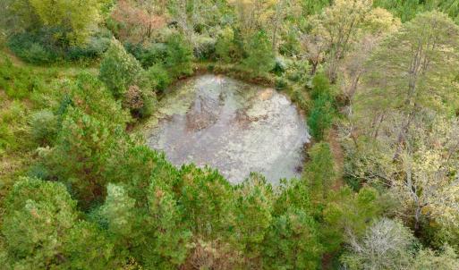 Photo #22 of Off of St. Martin Road, Oakboro, NC 82.0 acres