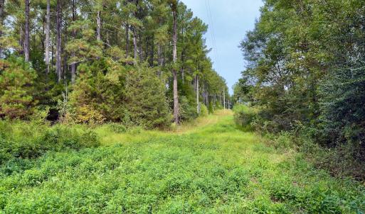 Photo #23 of Off of St. Martin Road, Oakboro, NC 82.0 acres