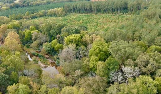 Photo #26 of Off of St. Martin Road, Oakboro, NC 82.0 acres