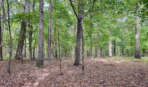 Photo #27 of Off of St. Martin Road, Oakboro, NC 82.0 acres