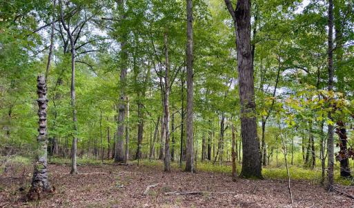 Photo #28 of Off of St. Martin Road, Oakboro, NC 82.0 acres