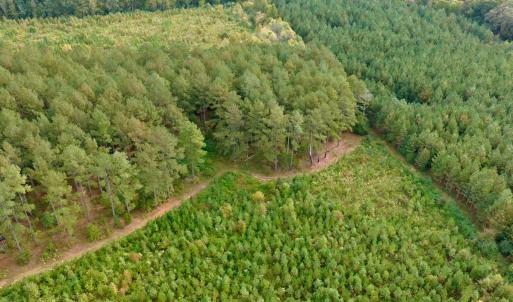Photo #30 of Off of St. Martin Road, Oakboro, NC 82.0 acres