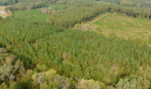 Photo #31 of Off of St. Martin Road, Oakboro, NC 82.0 acres