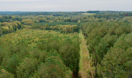 Photo #32 of Off of St. Martin Road, Oakboro, NC 82.0 acres