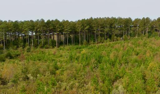 Photo #33 of Off of St. Martin Road, Oakboro, NC 82.0 acres
