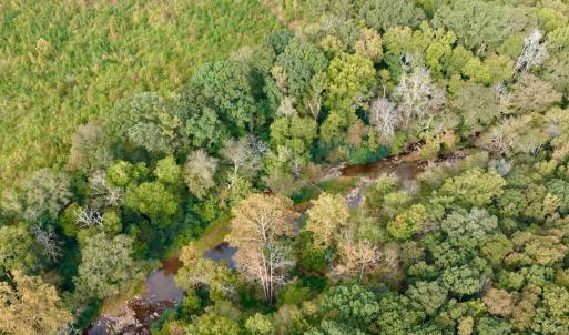 Photo #34 of Off of St. Martin Road, Oakboro, NC 82.0 acres