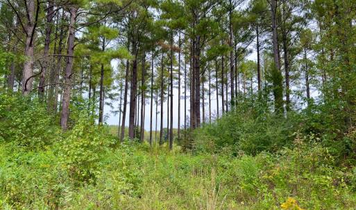 Photo #35 of Off of St. Martin Road, Oakboro, NC 82.0 acres