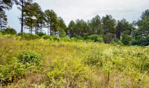 Photo #36 of Off of St. Martin Road, Oakboro, NC 82.0 acres