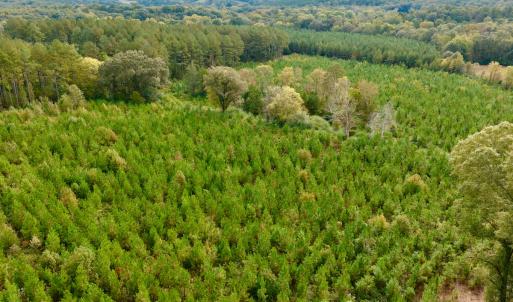 Photo #37 of Off of St. Martin Road, Oakboro, NC 82.0 acres