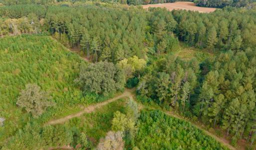 Photo #38 of Off of St. Martin Road, Oakboro, NC 82.0 acres