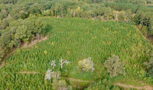 Photo #39 of Off of St. Martin Road, Oakboro, NC 82.0 acres