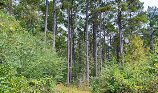 Photo #40 of Off of St. Martin Road, Oakboro, NC 82.0 acres