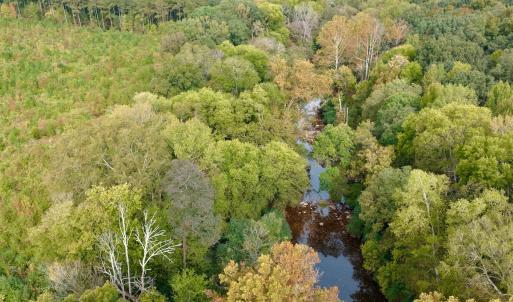 Photo #41 of Off of St. Martin Road, Oakboro, NC 82.0 acres