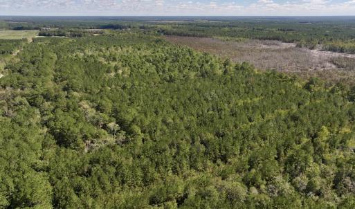 Photo #10 of Off Highway 258 South, & Lightwood Knot Road, Deep Run, NC 47.6 acres