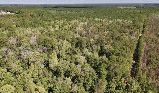 Photo #1 of Off Highway 258 South, & Lightwood Knot Road, Deep Run, NC 47.6 acres