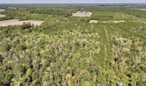 Photo #2 of Off Highway 258 South, & Lightwood Knot Road, Deep Run, NC 47.6 acres