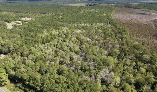 Photo #21 of Off Highway 258 South, & Lightwood Knot Road, Deep Run, NC 47.6 acres