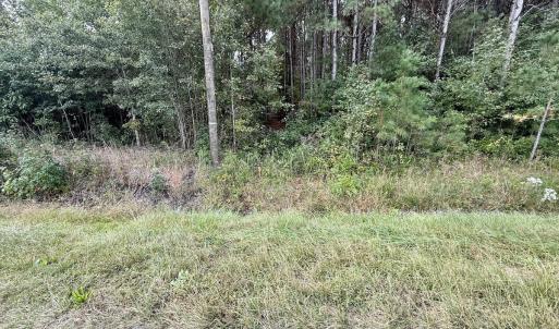 Photo #26 of Off Highway 258 South, & Lightwood Knot Road, Deep Run, NC 47.6 acres
