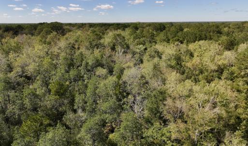 Photo #28 of Off Highway 258 South, & Lightwood Knot Road, Deep Run, NC 47.6 acres