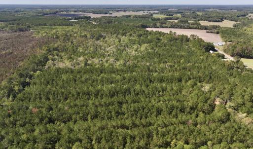 Photo #29 of Off Highway 258 South, & Lightwood Knot Road, Deep Run, NC 47.6 acres