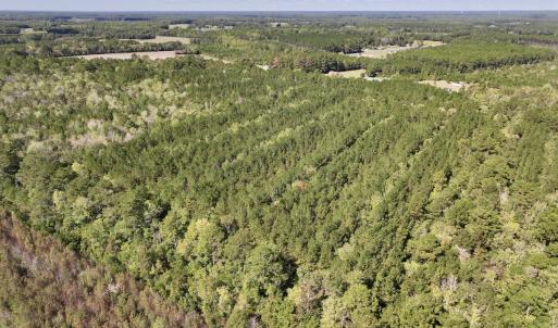 Photo #3 of Off Highway 258 South, & Lightwood Knot Road, Deep Run, NC 47.6 acres