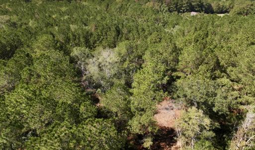 Photo #30 of Off Highway 258 South, & Lightwood Knot Road, Deep Run, NC 47.6 acres