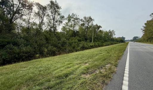 Photo #34 of Off Highway 258 South, & Lightwood Knot Road, Deep Run, NC 47.6 acres