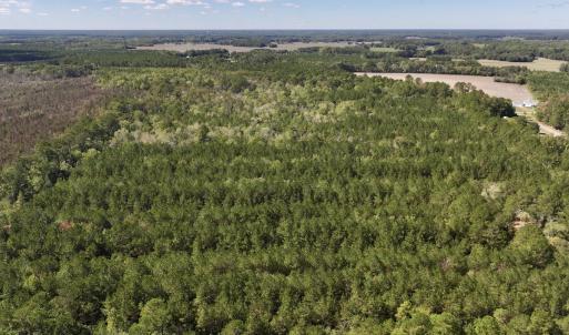 Photo #4 of Off Highway 258 South, & Lightwood Knot Road, Deep Run, NC 47.6 acres