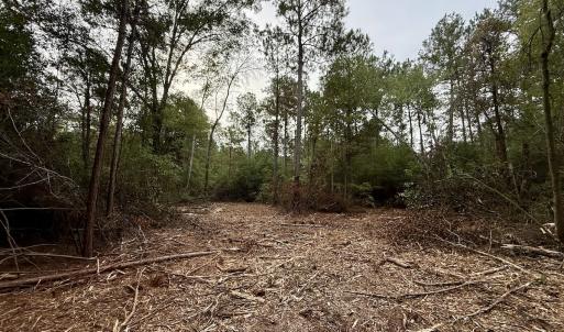 Photo #8 of Off Highway 258 South, & Lightwood Knot Road, Deep Run, NC 47.6 acres
