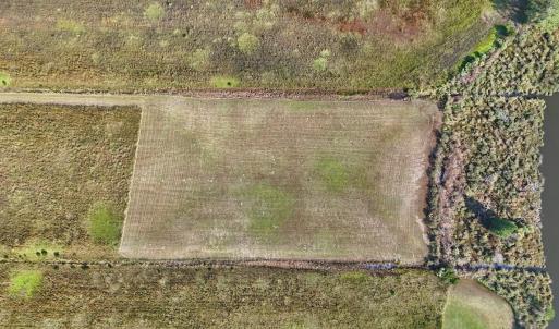 Photo #21 of Lot 85 off Dallas Paul Rd, Belhaven, NC 1.6 acres