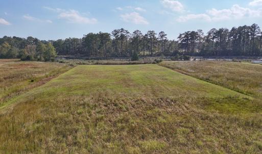 Photo #23 of Lot 85 off Dallas Paul Rd, Belhaven, NC 1.6 acres