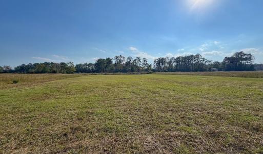 Photo #24 of Lot 85 off Dallas Paul Rd, Belhaven, NC 1.6 acres
