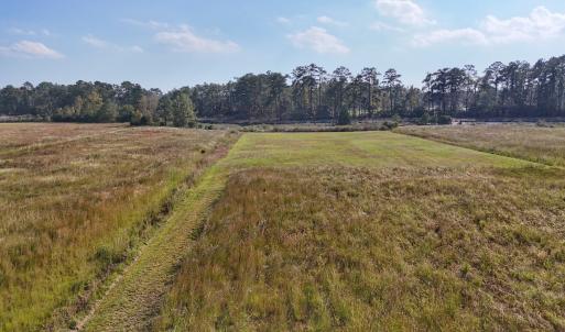 Photo #25 of Lot 85 off Dallas Paul Rd, Belhaven, NC 1.6 acres