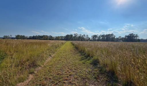 Photo #26 of Lot 85 off Dallas Paul Rd, Belhaven, NC 1.6 acres