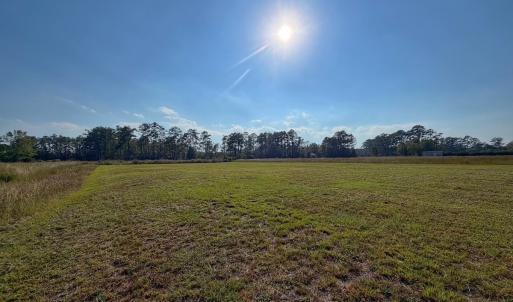 Photo #28 of Lot 85 off Dallas Paul Rd, Belhaven, NC 1.6 acres
