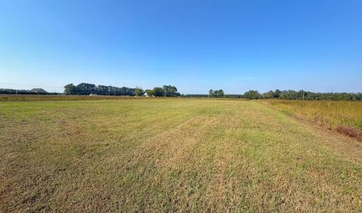 Photo #30 of Lot 85 off Dallas Paul Rd, Belhaven, NC 1.6 acres