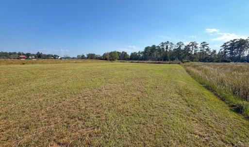 Photo #32 of Lot 85 off Dallas Paul Rd, Belhaven, NC 1.6 acres