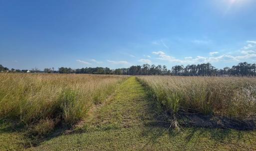 Photo #33 of Lot 85 off Dallas Paul Rd, Belhaven, NC 1.6 acres