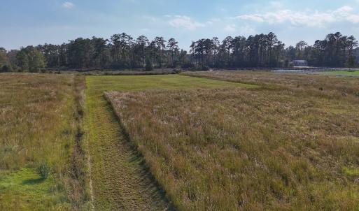 Photo #34 of Lot 85 off Dallas Paul Rd, Belhaven, NC 1.6 acres