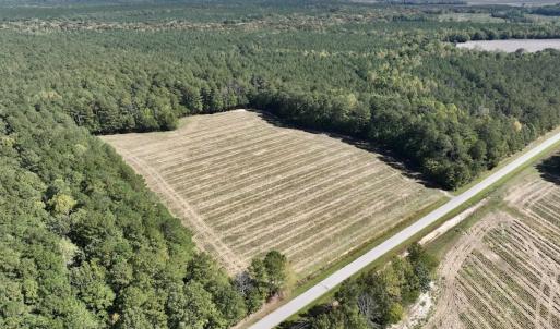 Photo #10 of Off Spring Hill Road & Off Hwy 561, Scotland Neck, NC 588.4 acres