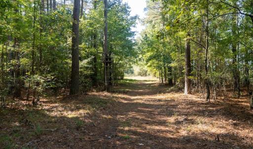 Photo #12 of Off Spring Hill Road & Off Hwy 561, Scotland Neck, NC 588.4 acres
