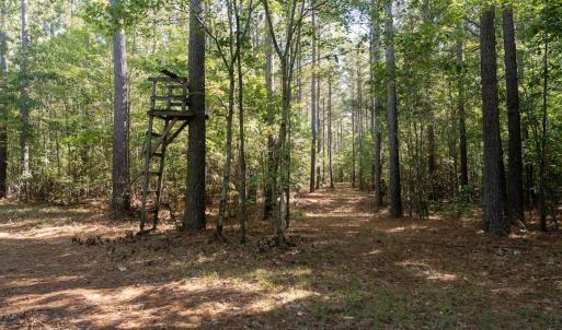 Photo #13 of Off Spring Hill Road & Off Hwy 561, Scotland Neck, NC 588.4 acres