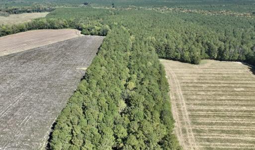 Photo #16 of Off Spring Hill Road & Off Hwy 561, Scotland Neck, NC 588.4 acres
