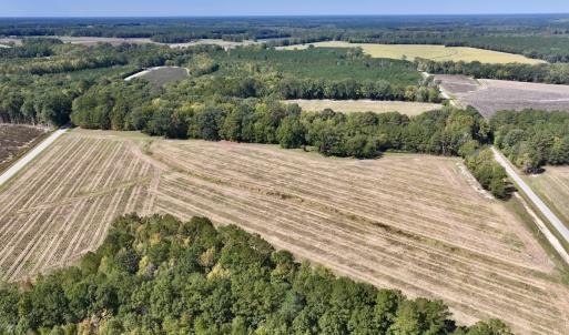 Photo #18 of Off Spring Hill Road & Off Hwy 561, Scotland Neck, NC 588.4 acres