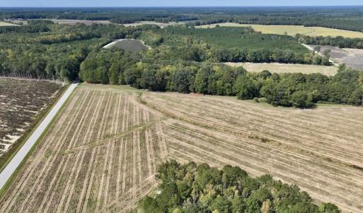 Photo #19 of Off Spring Hill Road & Off Hwy 561, Scotland Neck, NC 588.4 acres