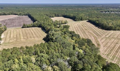 Photo #28 of Off Spring Hill Road & Off Hwy 561, Scotland Neck, NC 588.4 acres