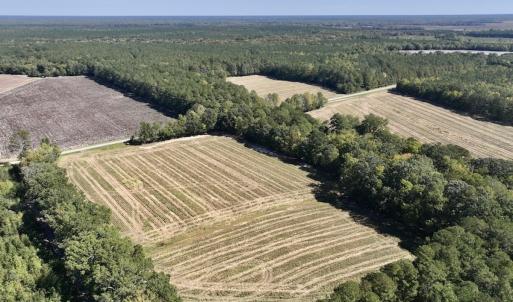 Photo #29 of Off Spring Hill Road & Off Hwy 561, Scotland Neck, NC 588.4 acres