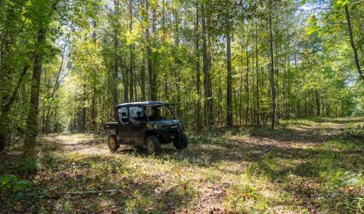 Photo #3 of Off Spring Hill Road & Off Hwy 561, Scotland Neck, NC 588.4 acres