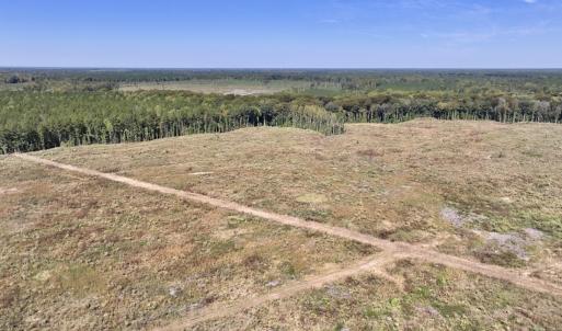 Photo #31 of Off Spring Hill Road & Off Hwy 561, Scotland Neck, NC 588.4 acres