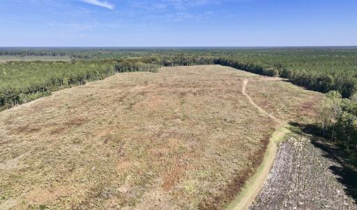 Photo #34 of Off Spring Hill Road & Off Hwy 561, Scotland Neck, NC 588.4 acres